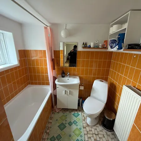 Nordic Nest Orsted (Midtjylland)